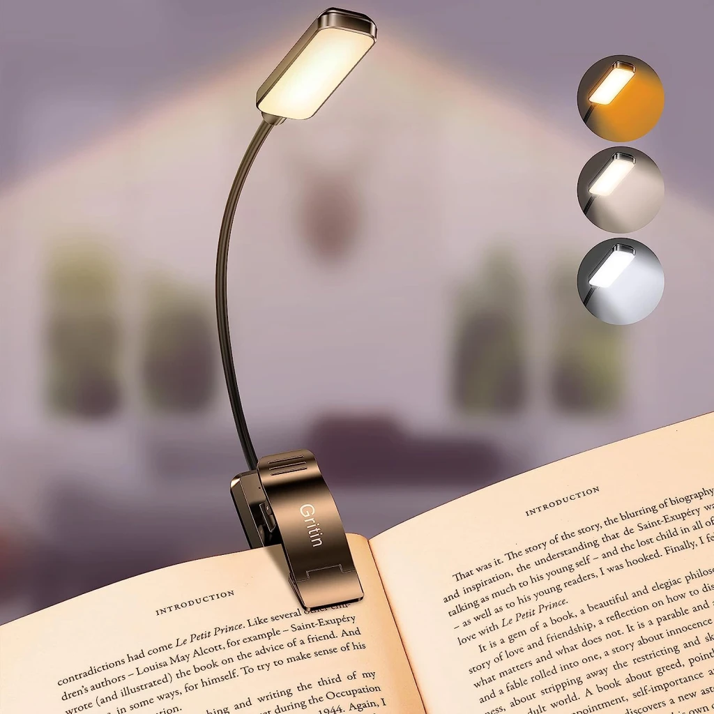 Portable reading light